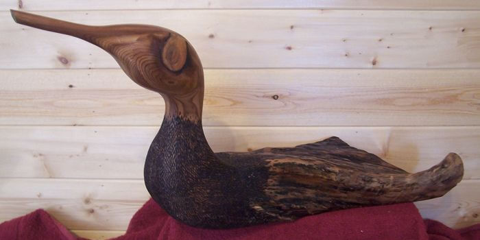 Terry Adair, Twisted Pine Studio - Unique, Natural Wood Sculptures